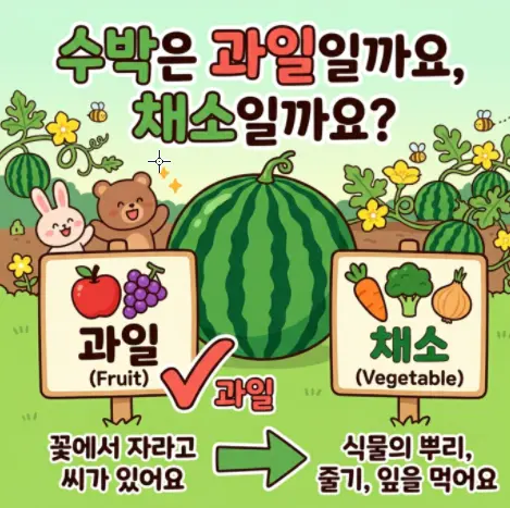 수박-과일-채소
