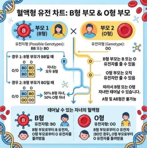 B형과 O형 부모 사이
