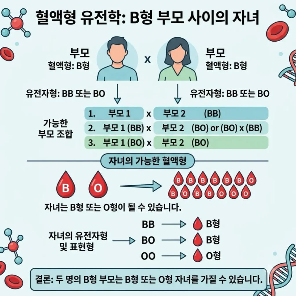 B형-B형-부모-사이에서-자녀의-혈액형