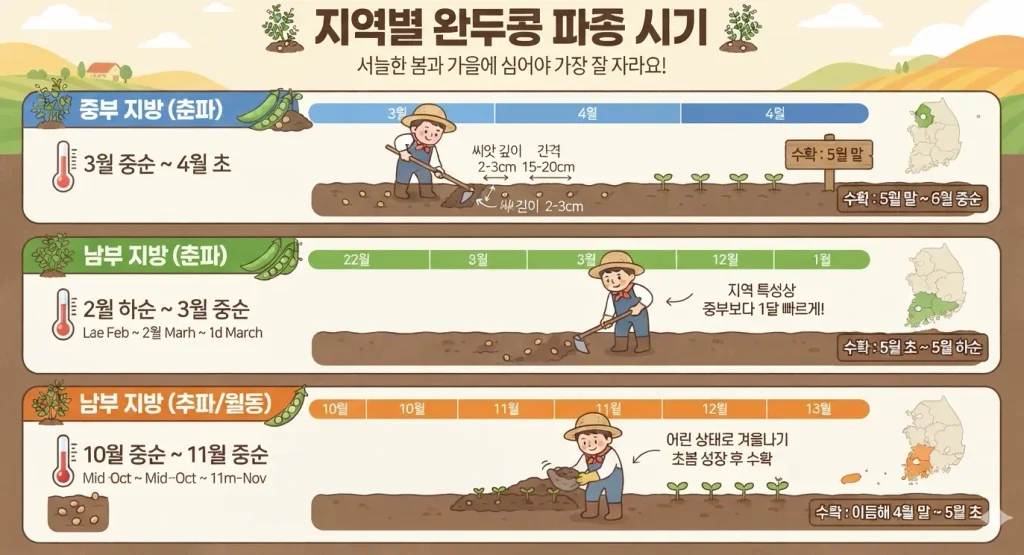 완두콩-파종시기